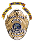 Department of Public Safety Badge
