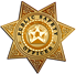 Department of Public Safety Badge